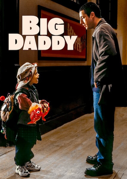 Big Daddy, a movie with twins, but not staring twins
