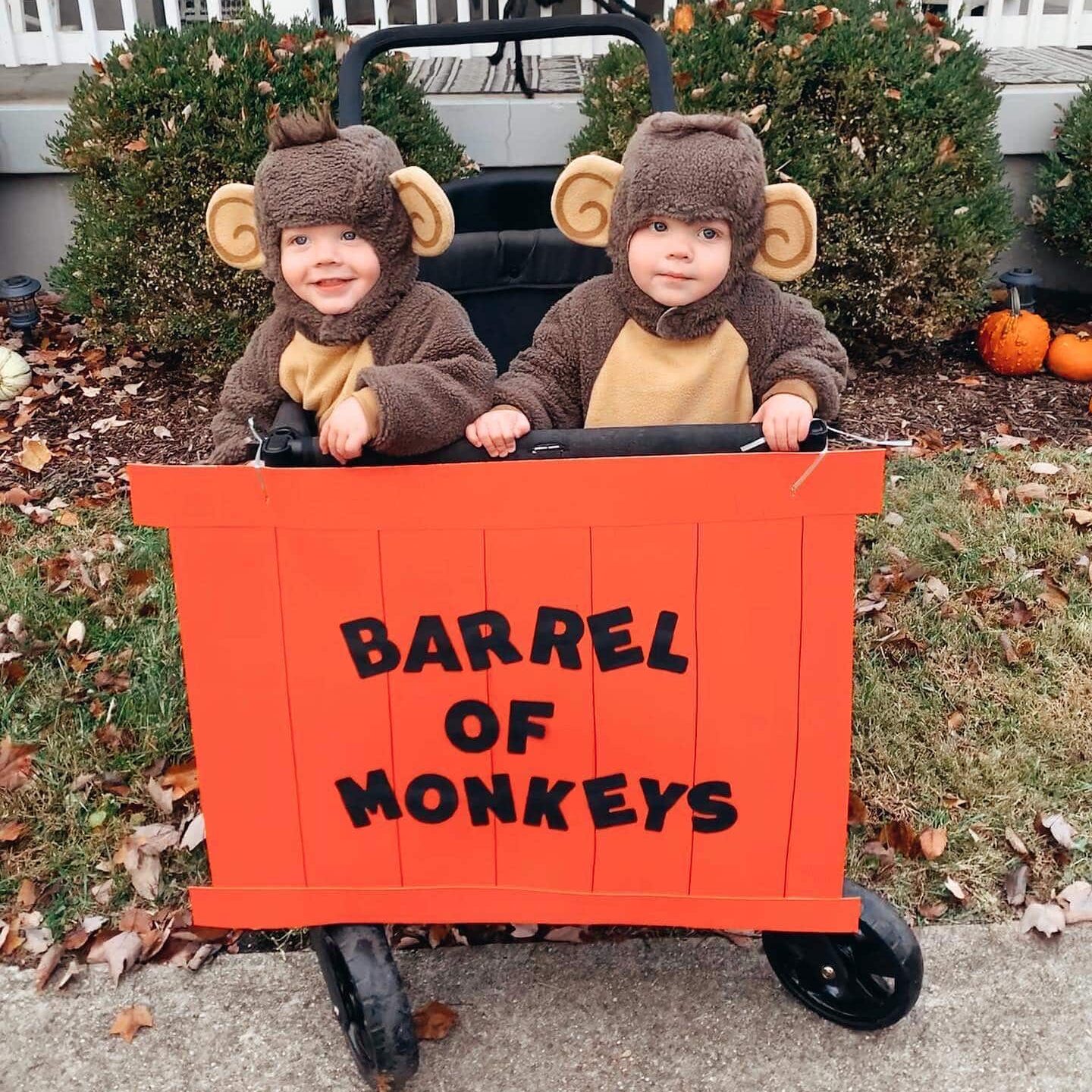 Twin Costume Ideas for Halloween: Barrel of Monkeys