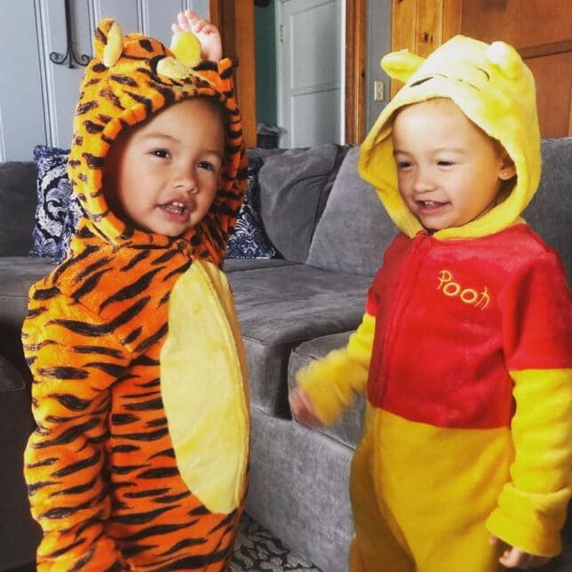Twin Costume Ideas for Halloween: Tigger and Pooh