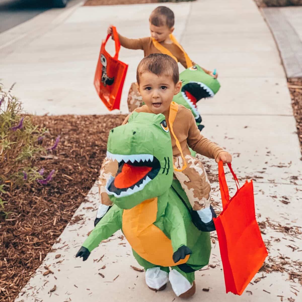 Twin Costume Ideas for Halloween: Dino Wrangler