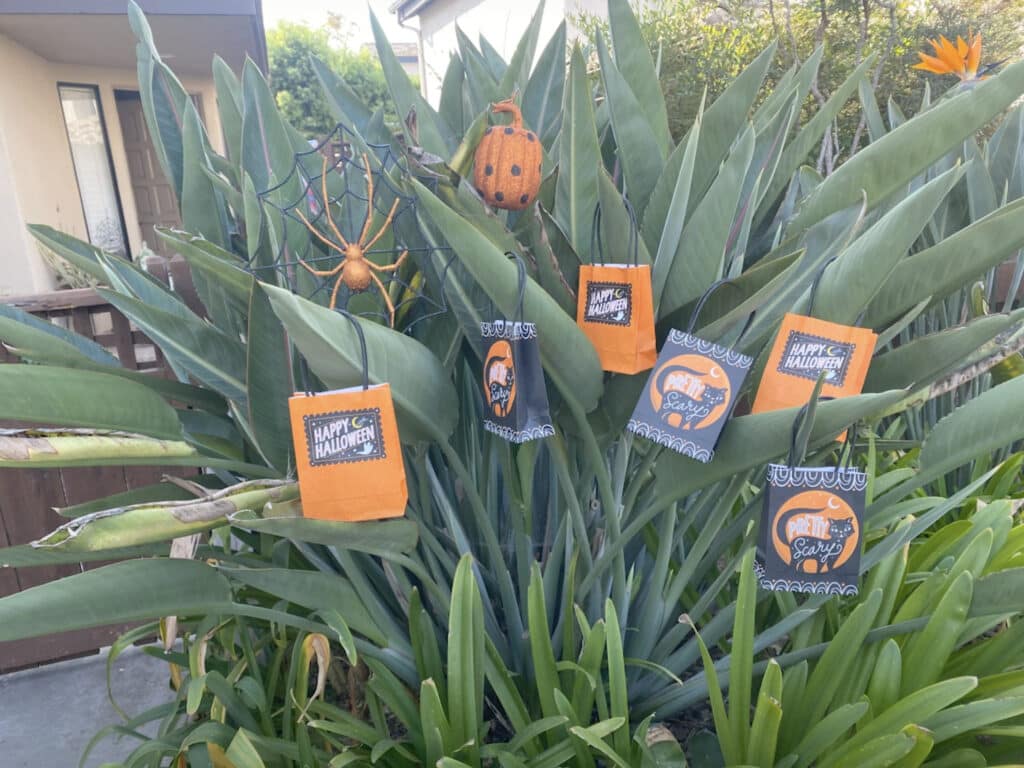 Hang treats from brushes for alittle extra Halloween trick-or-treating fun