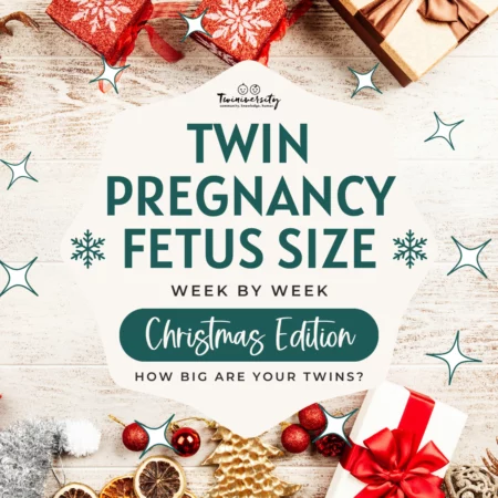 Holiday Fetus Size Chart for Twins
