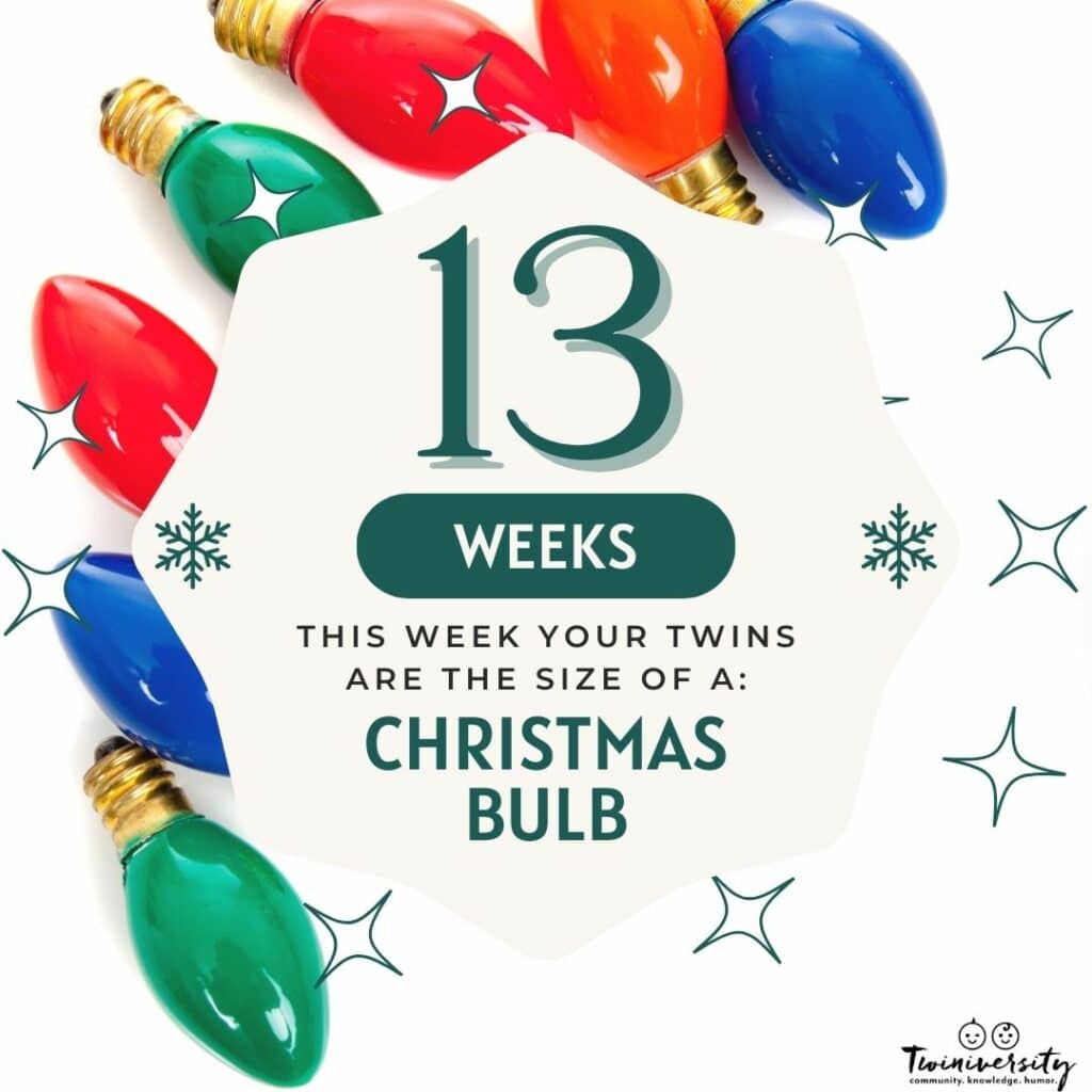 Holiday Fetus Size Chart Week 13