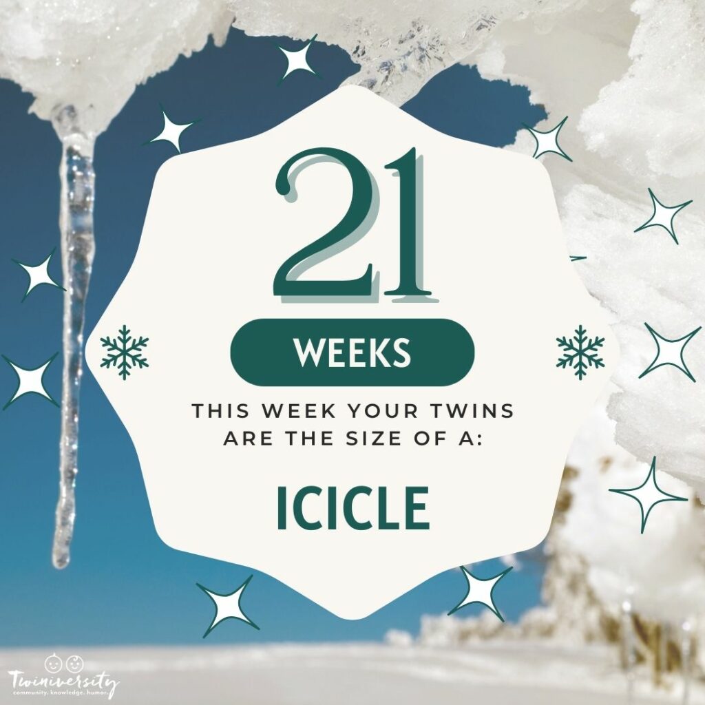Week 21 your twins are the size of an icicle