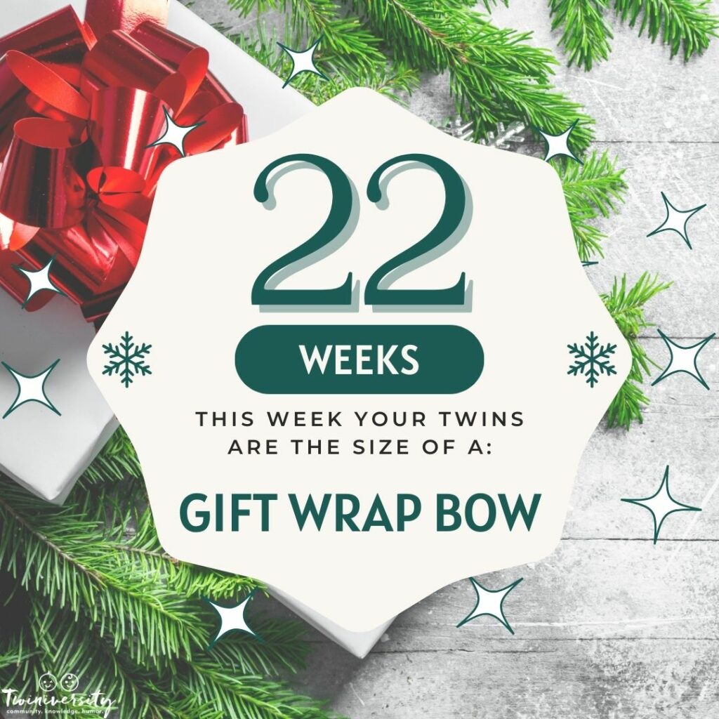 Gift wrap bow for week 22
