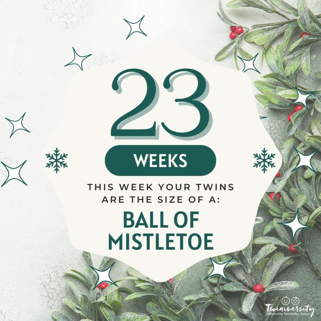 Week 23 your twins are the size of a ball of mistletoe