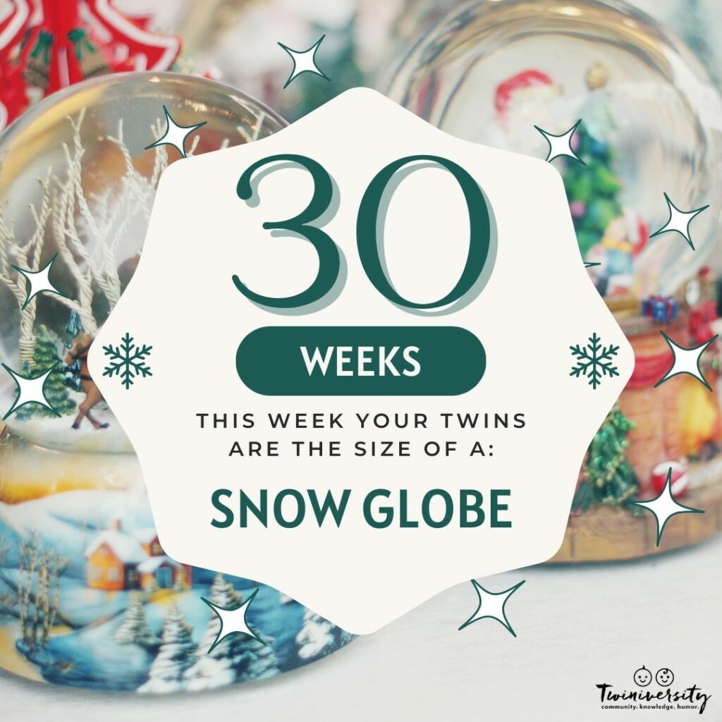 Week 30 the twins are the size of a snowglobe
