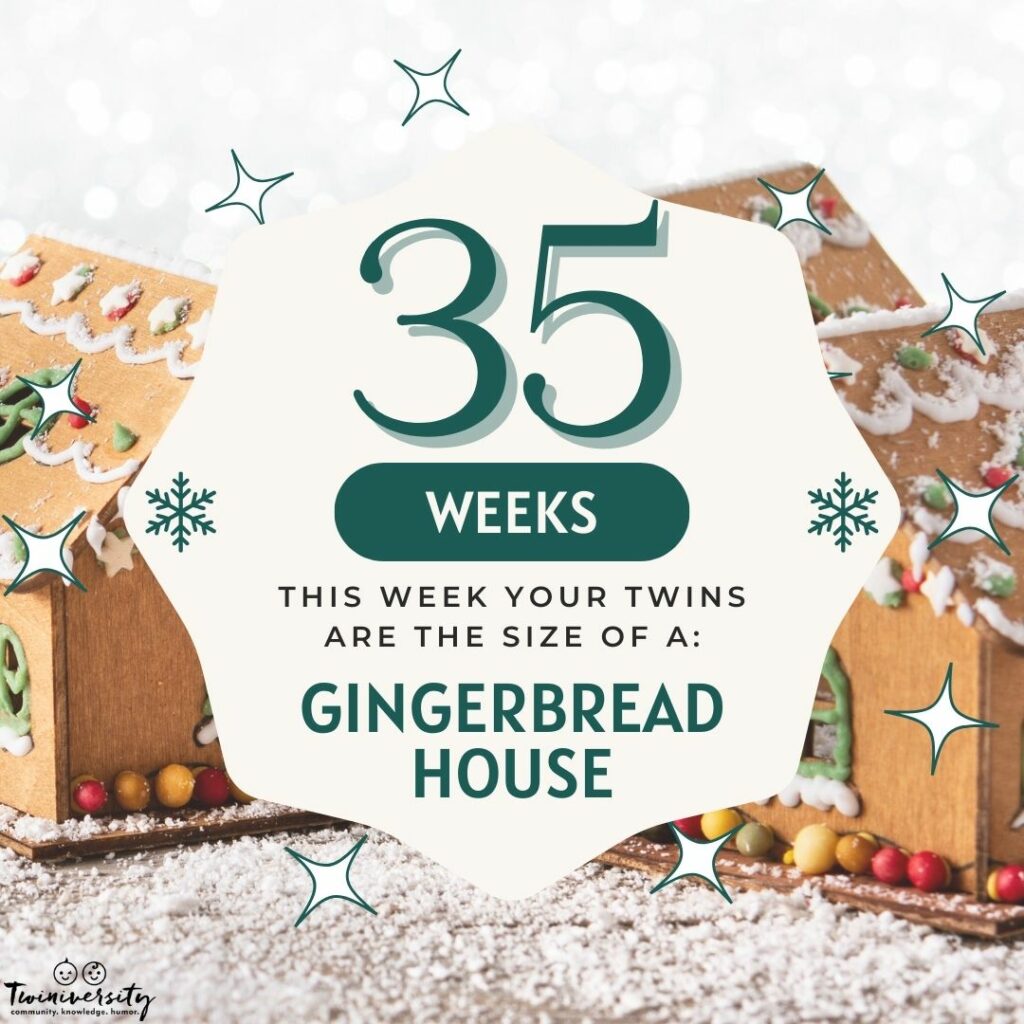 Week 35 your twins are the size of a gingerbread house