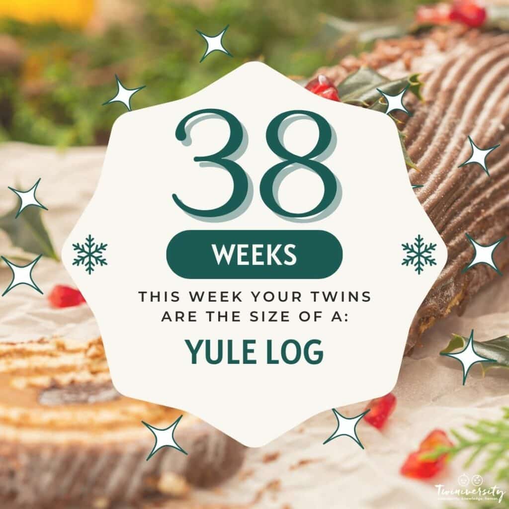 Yule Log