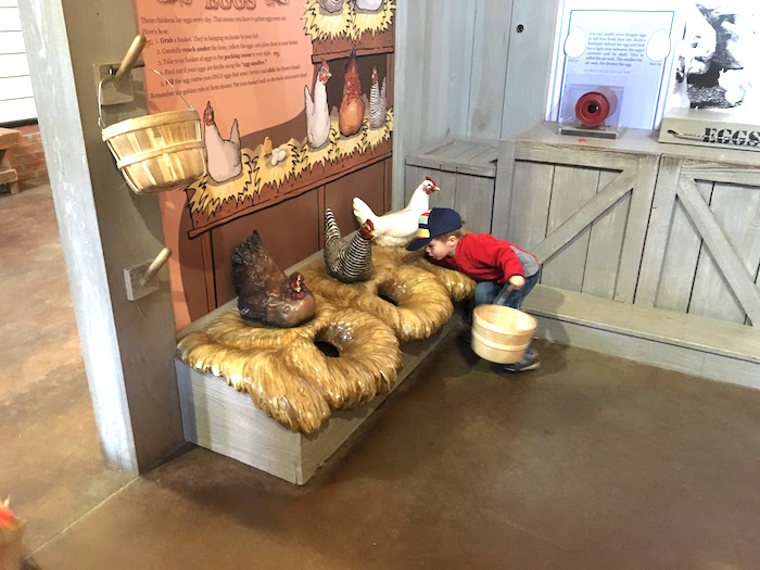 little boy playing with a chicken feeding toy at a museum