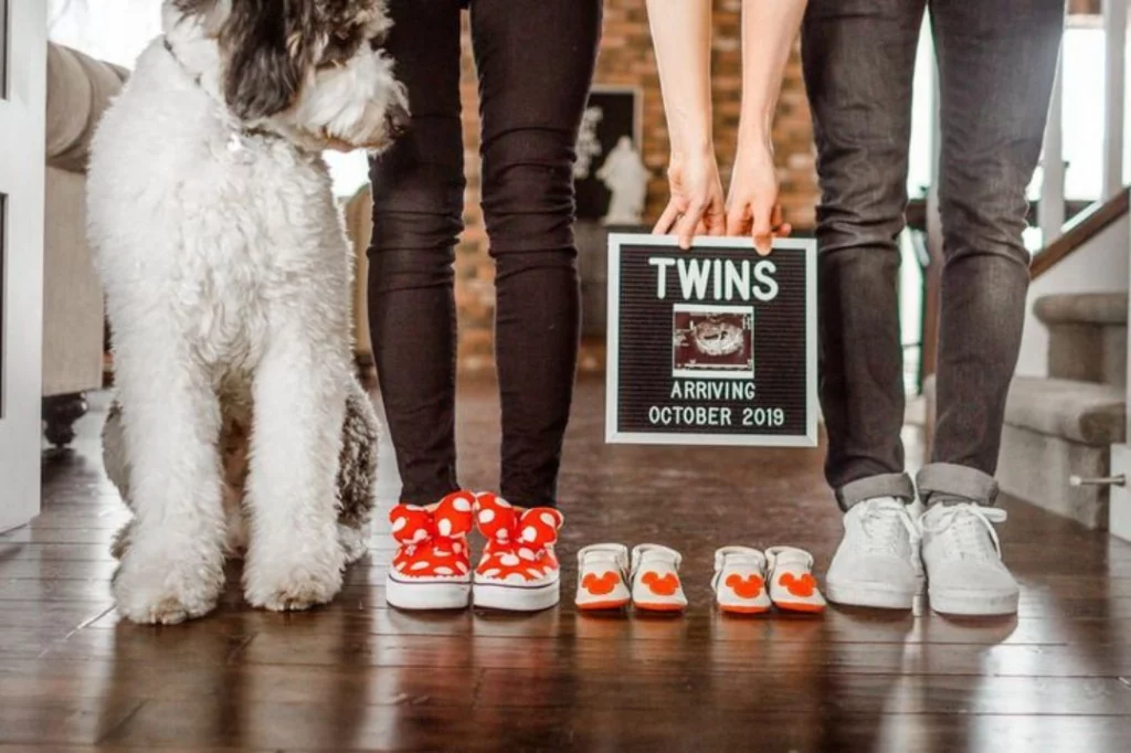 Twin Pregnancy Announcement ideas with your fur baby