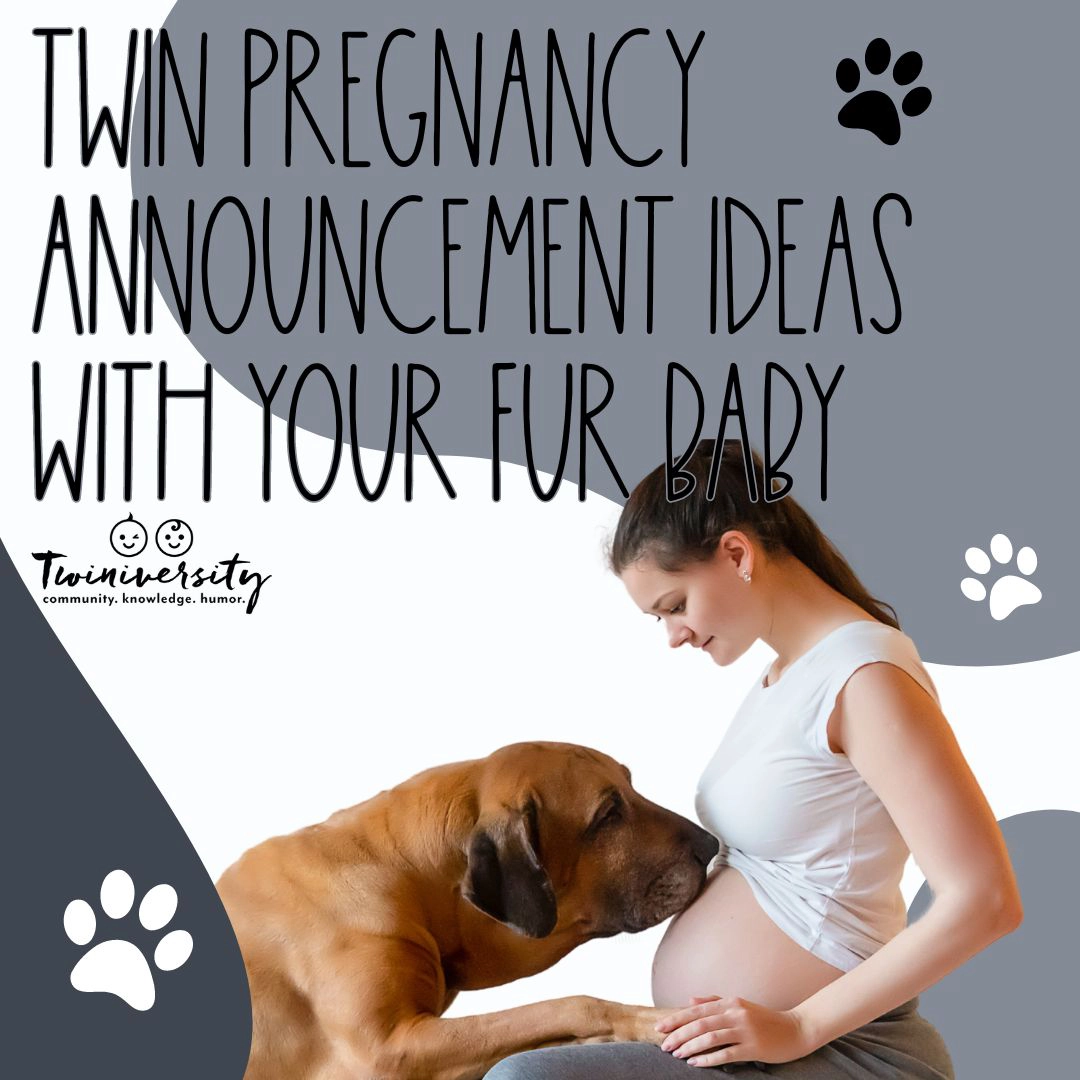 Twin Pregnancy Announcement Ideas with Your Fur Baby