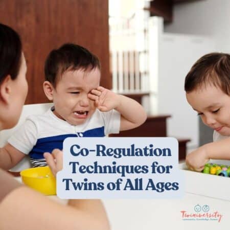 Co-Regulation Techniques to Try With Twins of All Ages