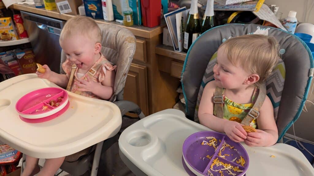 baby led weaning with twins