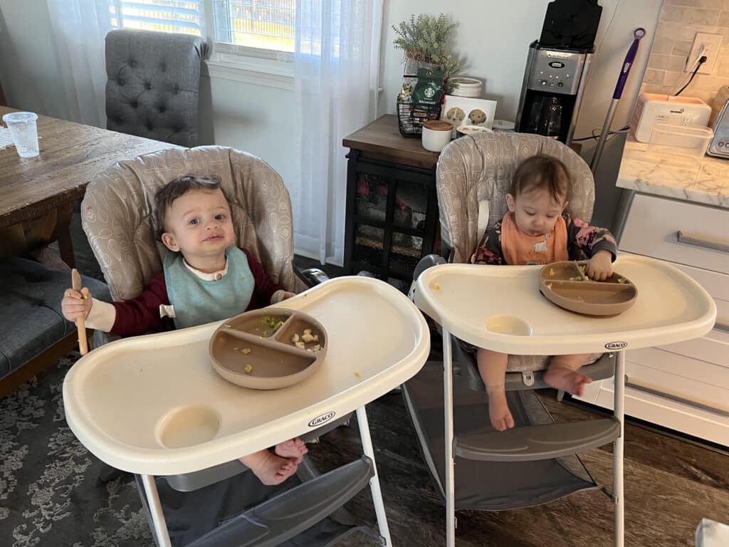 blw with twins