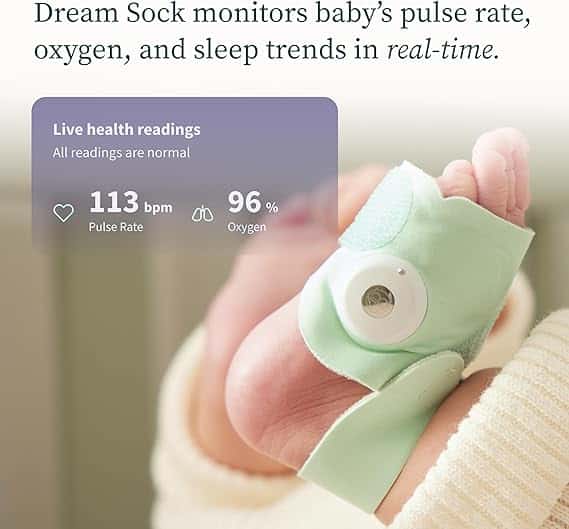Owlet Dream Sock