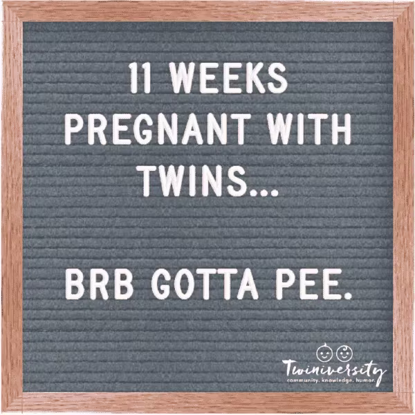 11 weeks pregnant with twins