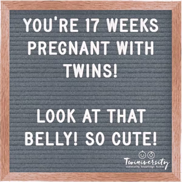 Twin Pregnancy Week By Week Timeline