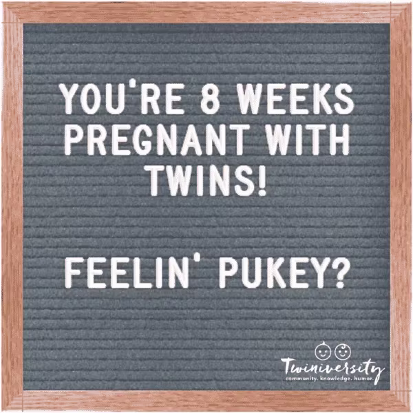 Twin Pregnancy Week By Week Timeline