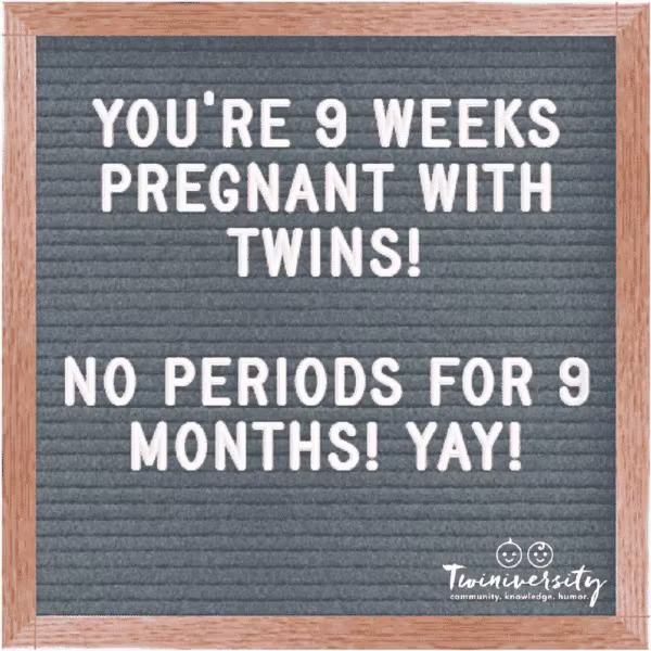 Twin Pregnancy Week By Week Timeline