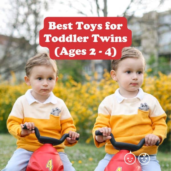 Best Toys for Toddler Twins (Ages 2 – 4), According to Twin Parents