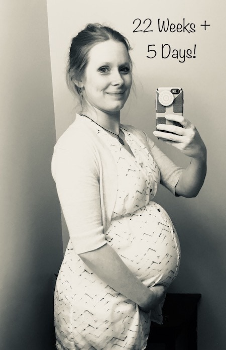 22 weeks pregnant with twins