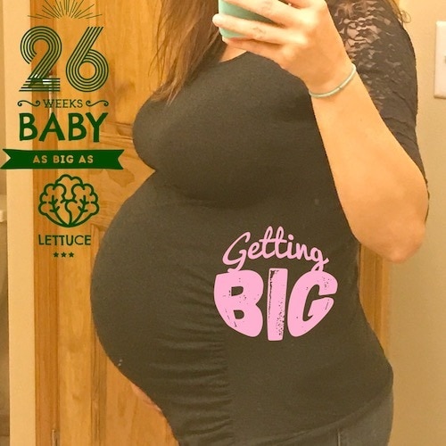 26 weeks pregnant with twins