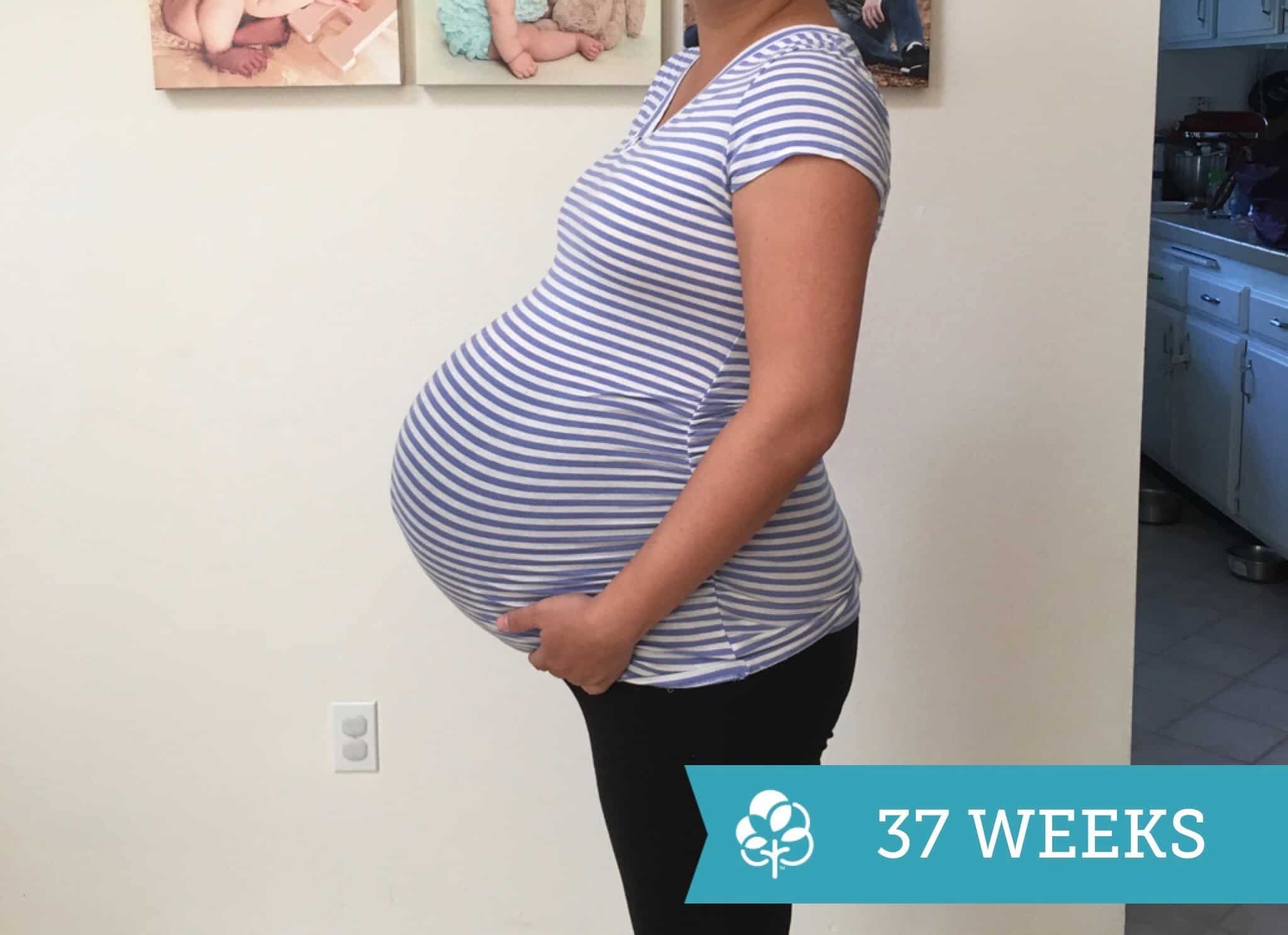 37 weeks pregnant with twins