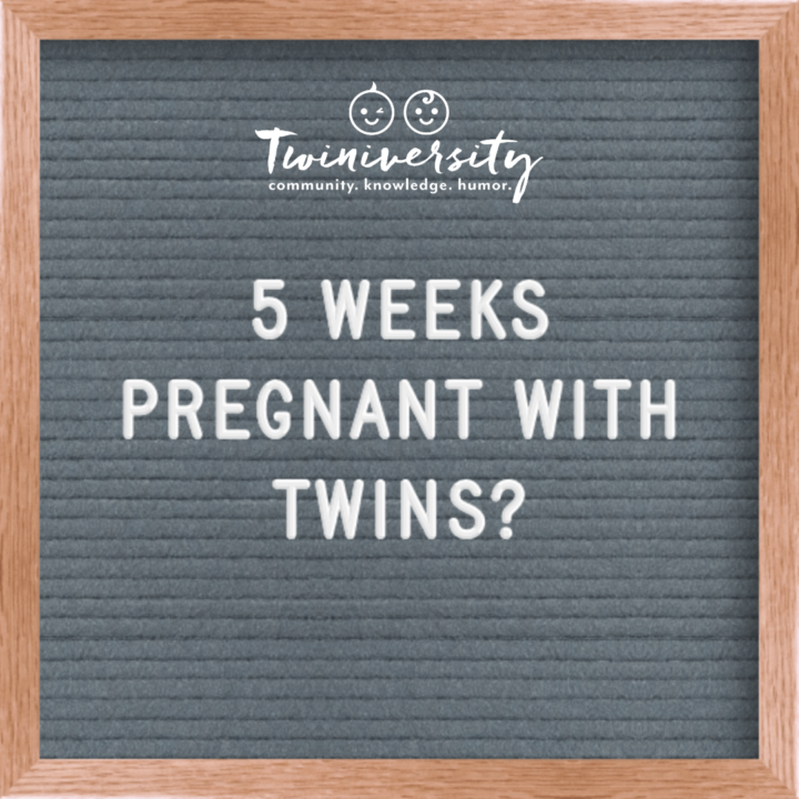 Twin Pregnancy Week By Week Timeline