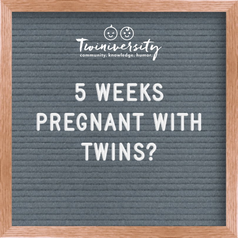5 weeks pregnant with twins