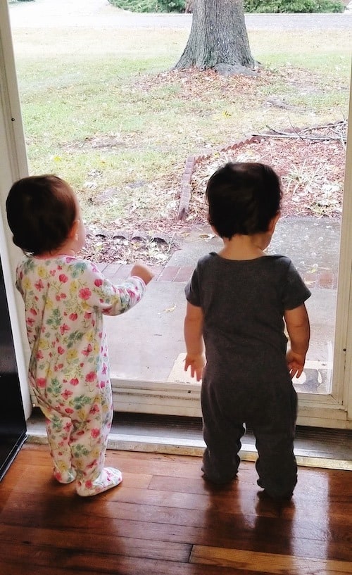 twin toddlers looking out of a screen door maternity leave