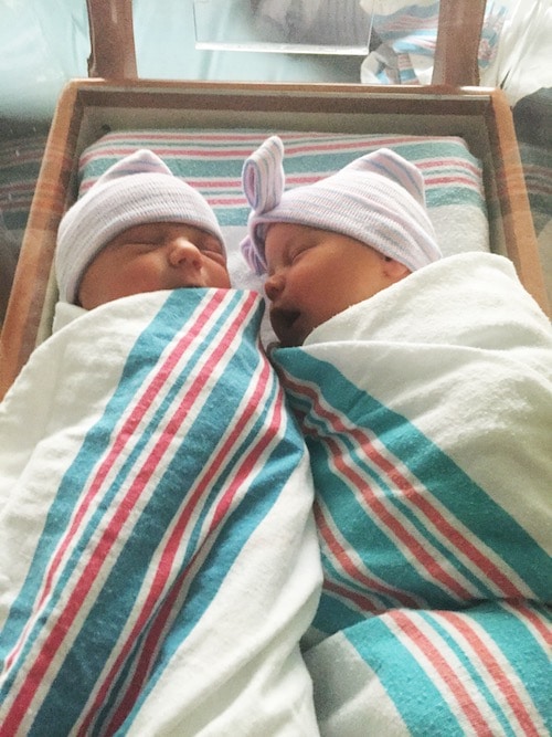 newborn twins in blankets Twins Sexes a Surprise