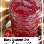 instant pot cranberry jelly