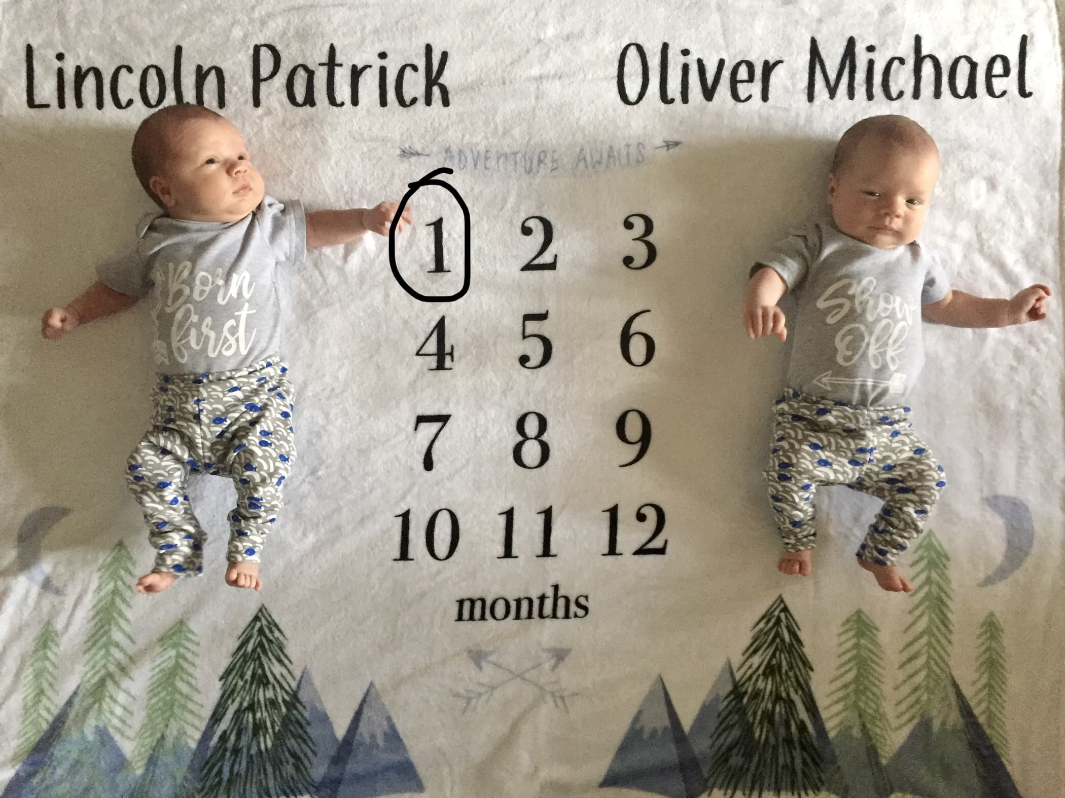 first year with twins weeks 1-4
