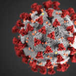 coronavirus pregnancy