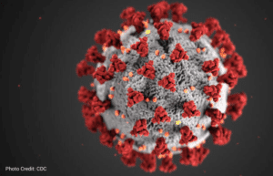 coronavirus pregnancy