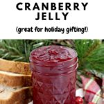 instant pot cranberry jelly