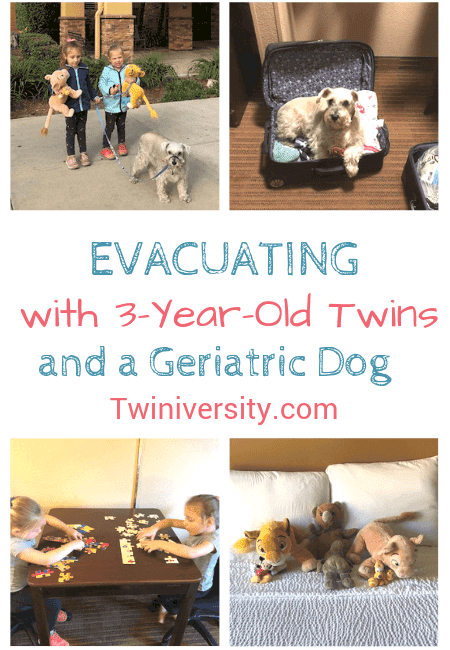 Evacuating with 3-Year-Old Twins and a Geriatric Dog