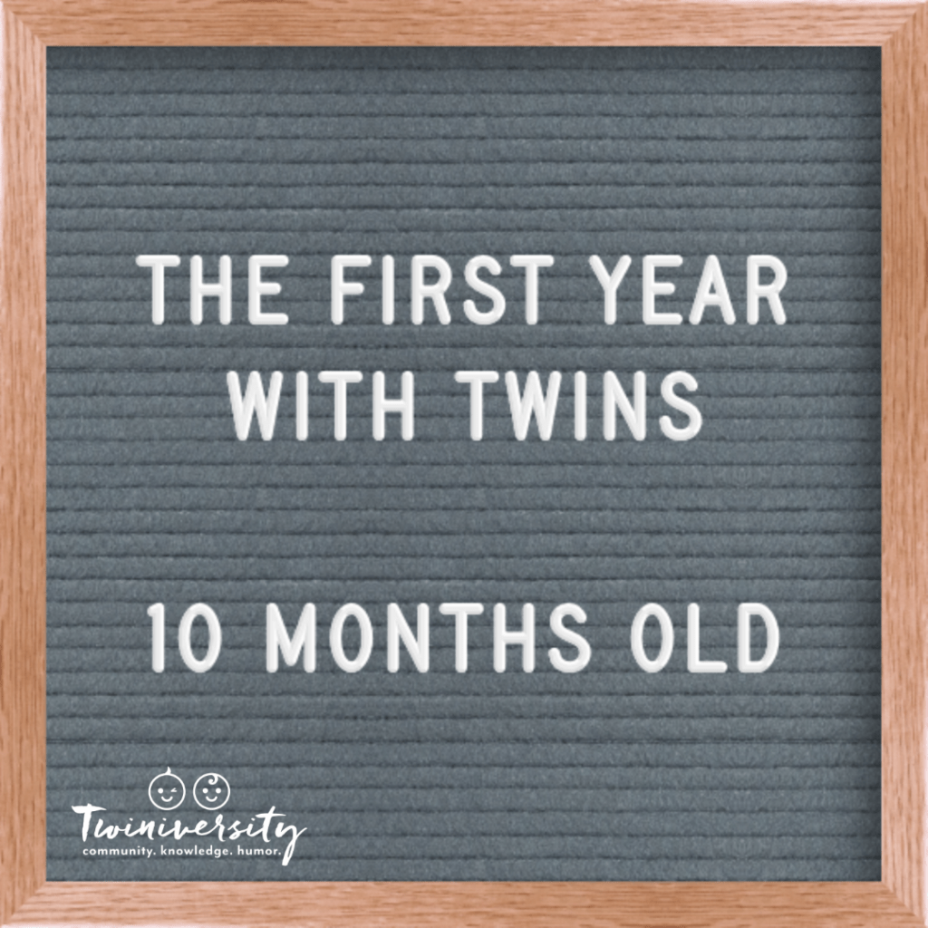 First Year with Twins 10 months old