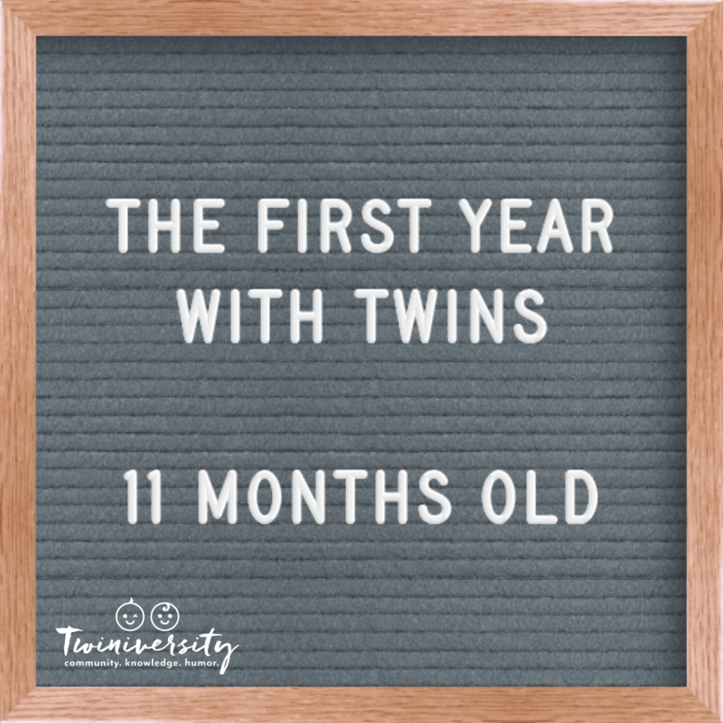First Year with Twins 11 months old