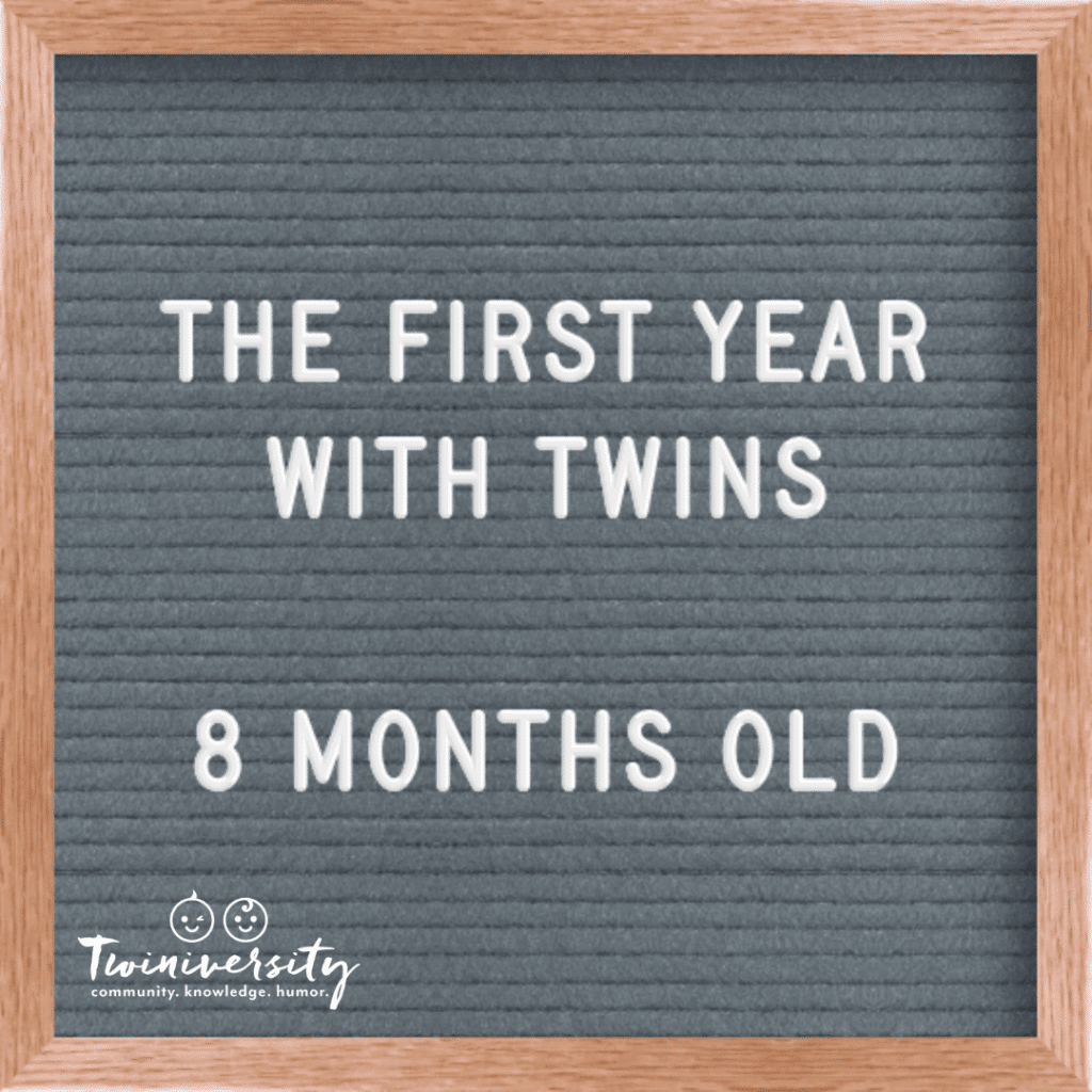 First Year with Twins 8 Months Old