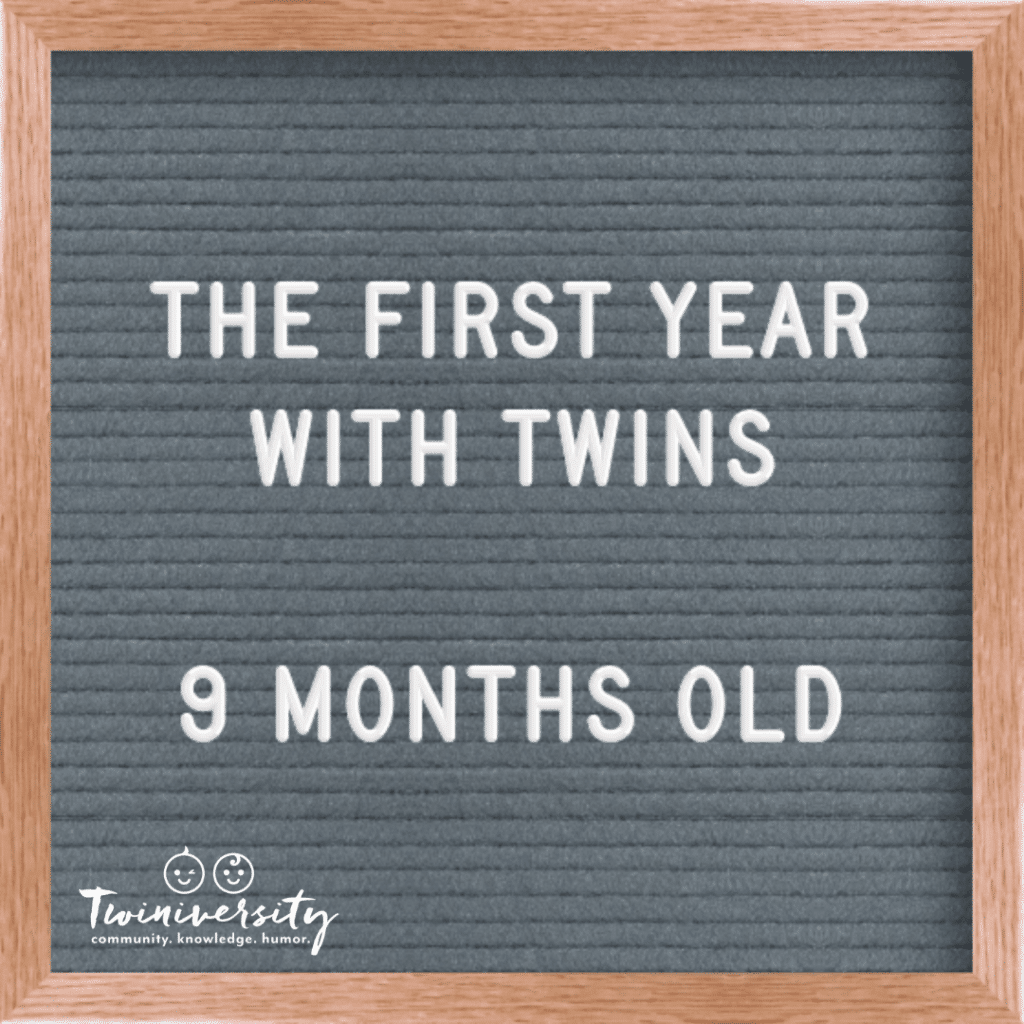 First Year with Twins 9 months old