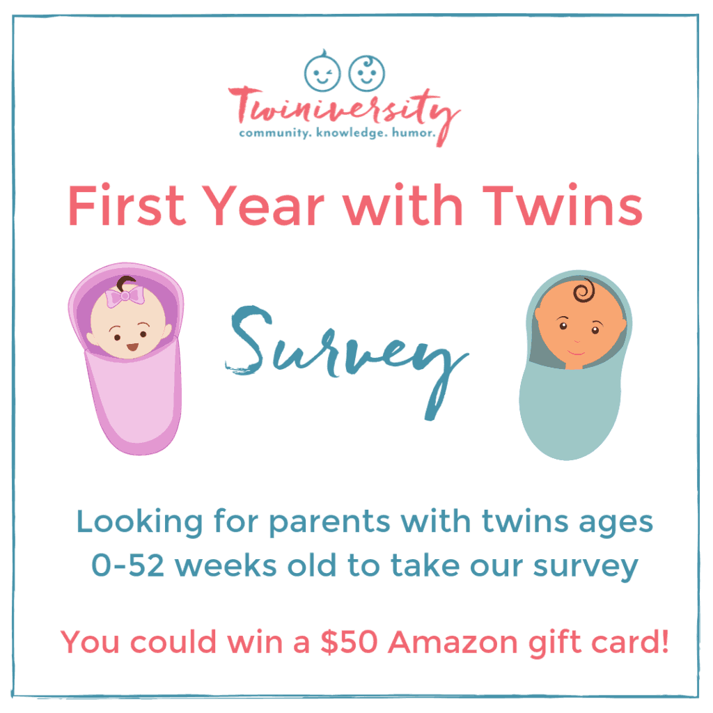 first year with twins survey