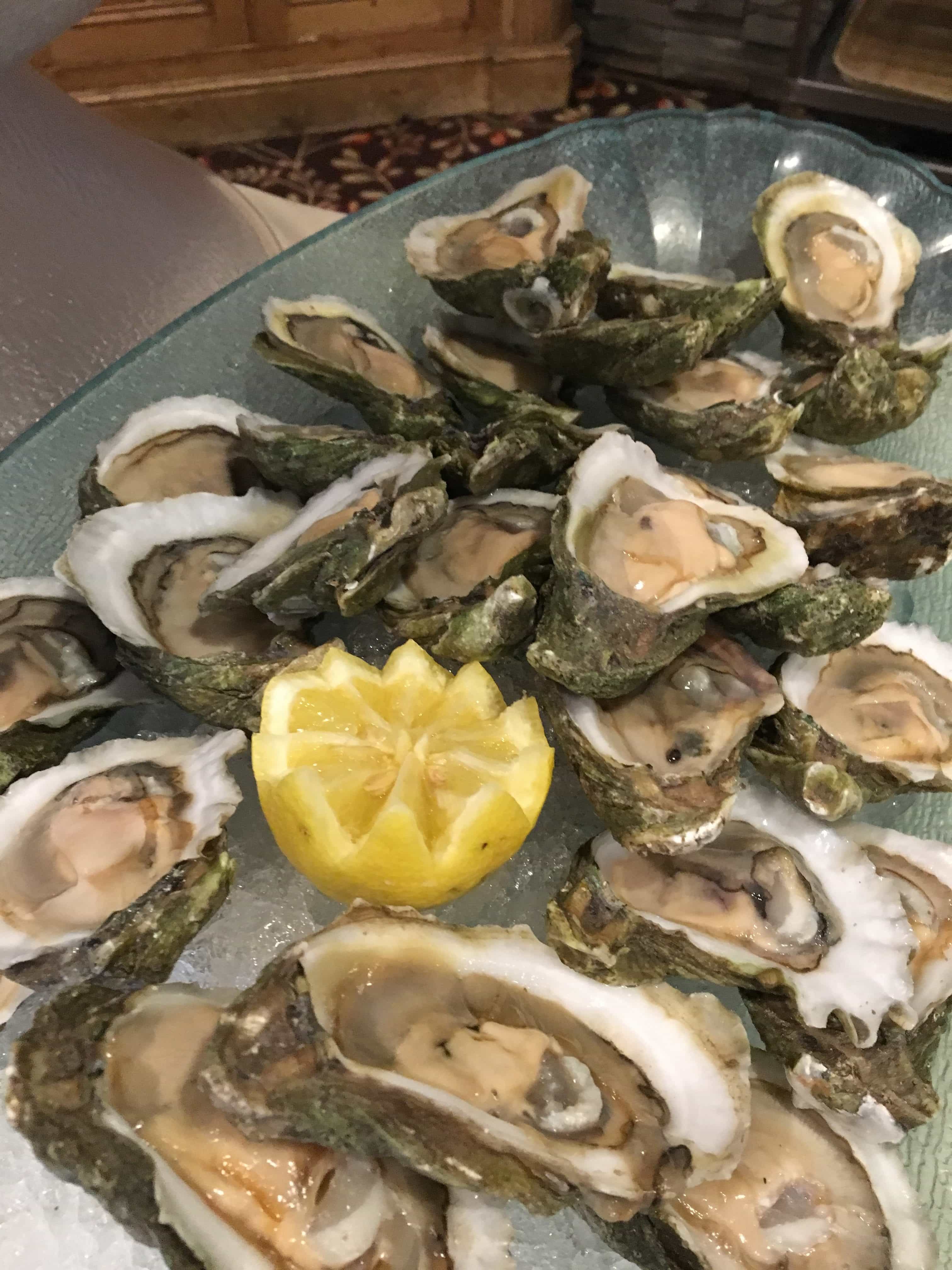 Raw Oysters - Twiniversity