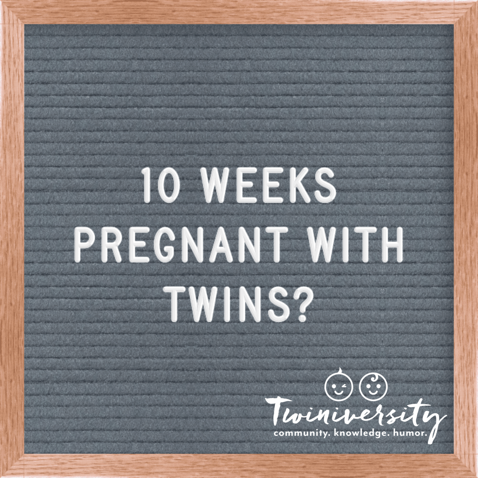 Twin Pregnancy Week By Week Timeline