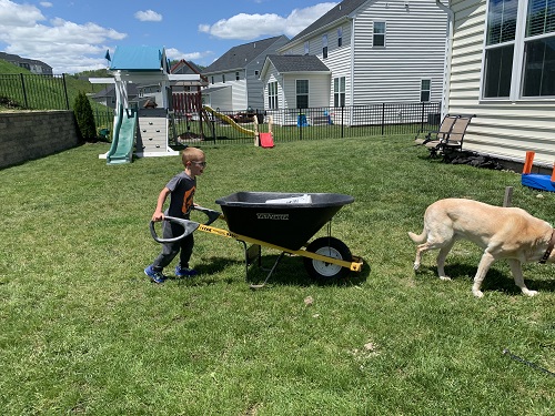 chores for 4-year-olds