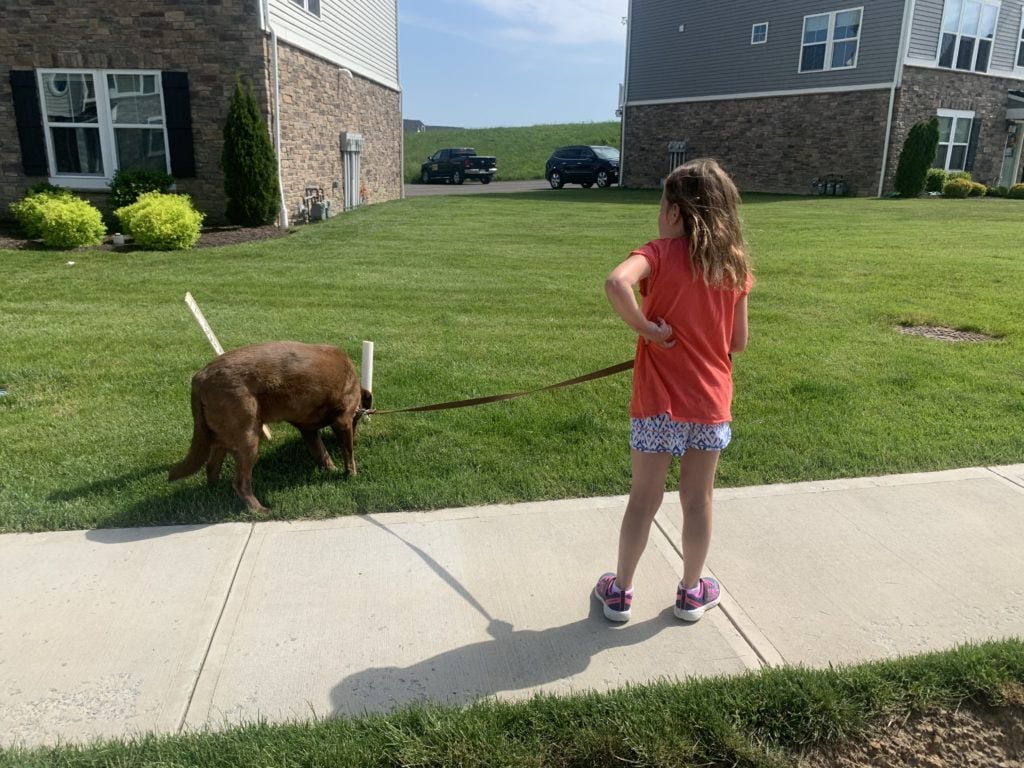 chores for 4-year-olds