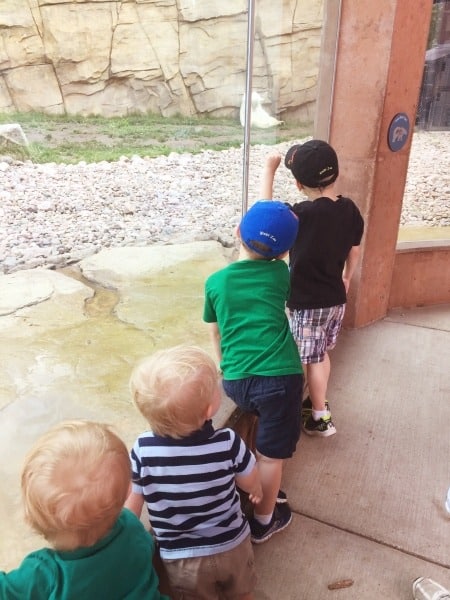 kids at zoo learning over summer break