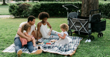 day trips with twins family with picnic and wagon