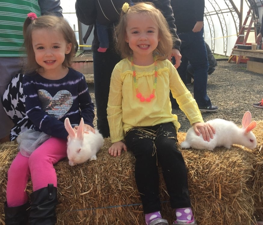 twin girls on a hay bale pros and cons of identical twins